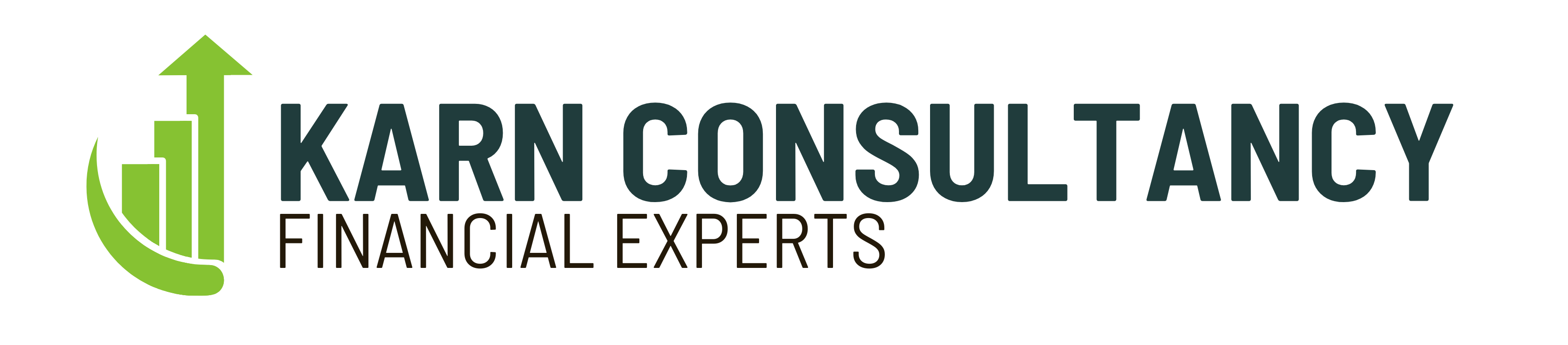 karnconsultancy.com